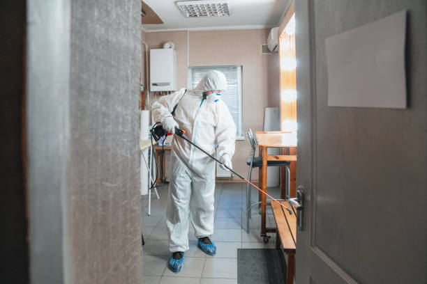 Reliable Inglenook, CT Mold Removal Solutions